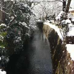 京都　雪景色巡り　by m.n